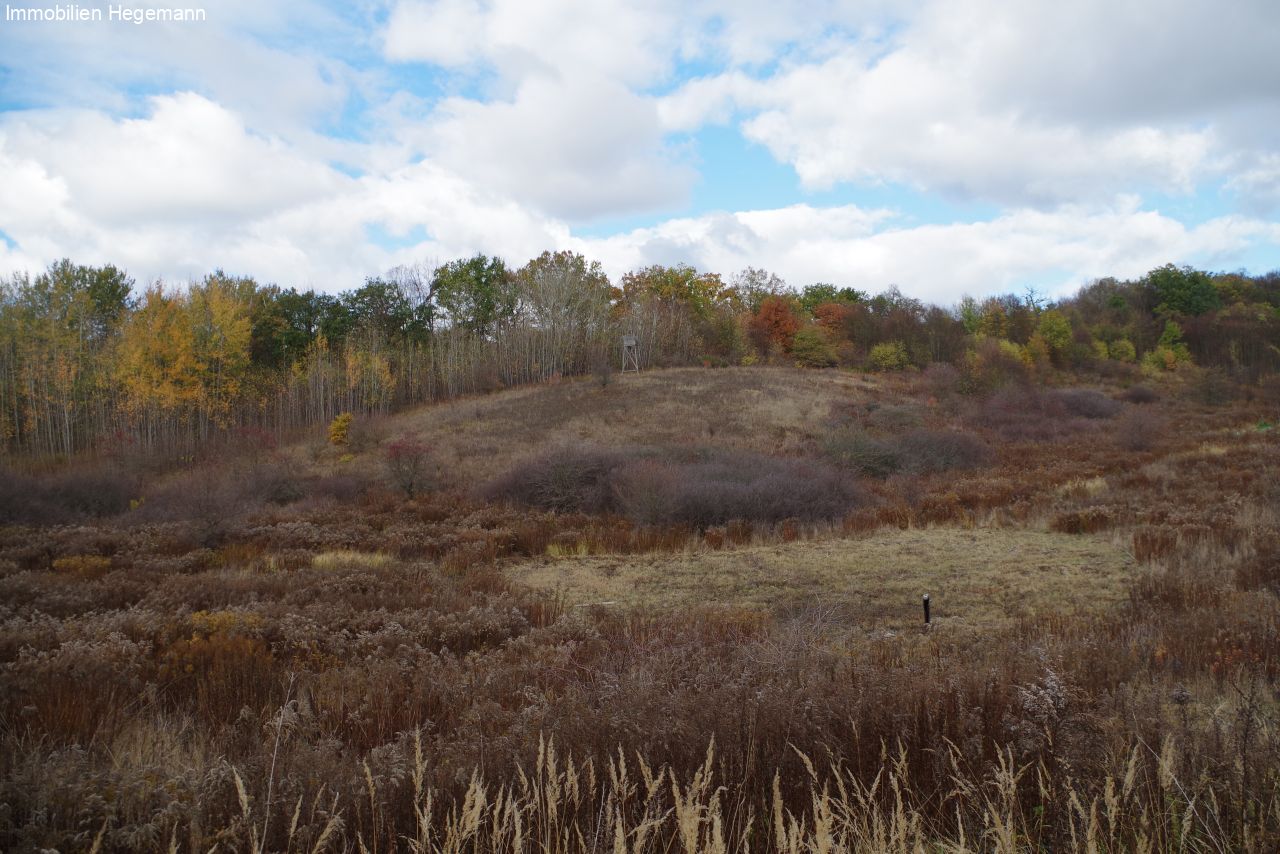 Provisionsfrei ! Grosses Grundstück in Neubrandenburg direkt am See - ca. 190.000 qm !  Provisionsfrei ! Grosses Grundstück in Neubrandenburg direkt am See - ca. 190.000 qm !